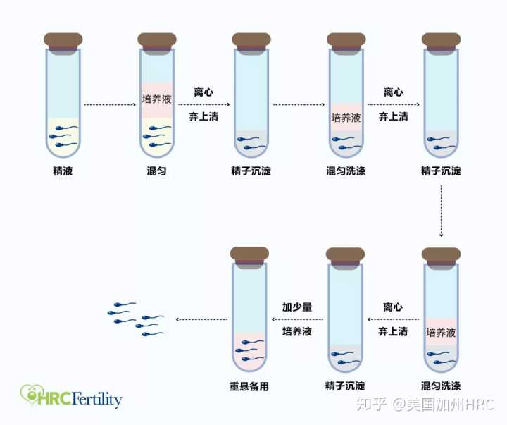 2023武汉市试管代怀生子机构排名，附试管助孕机构名单！-放蚯蚓的功德-代生交